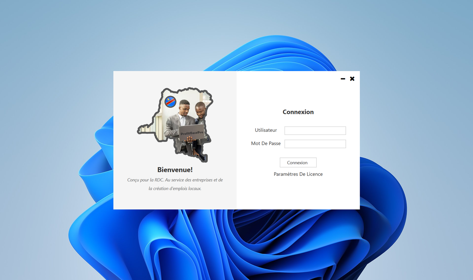 Profit Ease Pro Capture d'écran 1 - ProfitEasePro ERP - DRC Invoice Normalization
